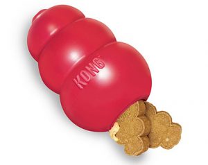 Kong - a chewing toy