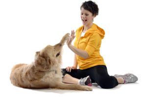 tips on dog training